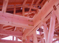 ���ȍ\���̉摜