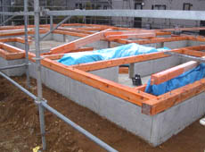 �X�q�o�y��摜