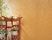 ���A�E���^�����ꐁ�t�H�@�摜